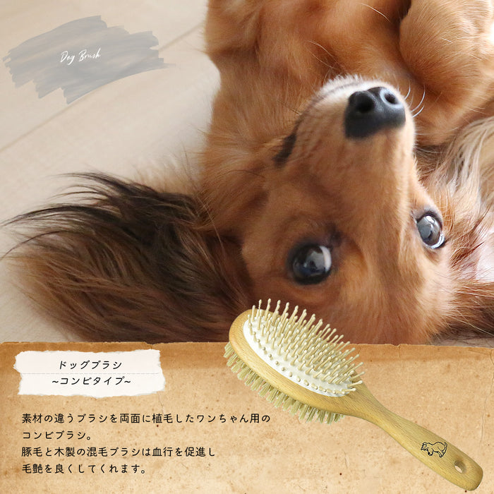 dog-brush